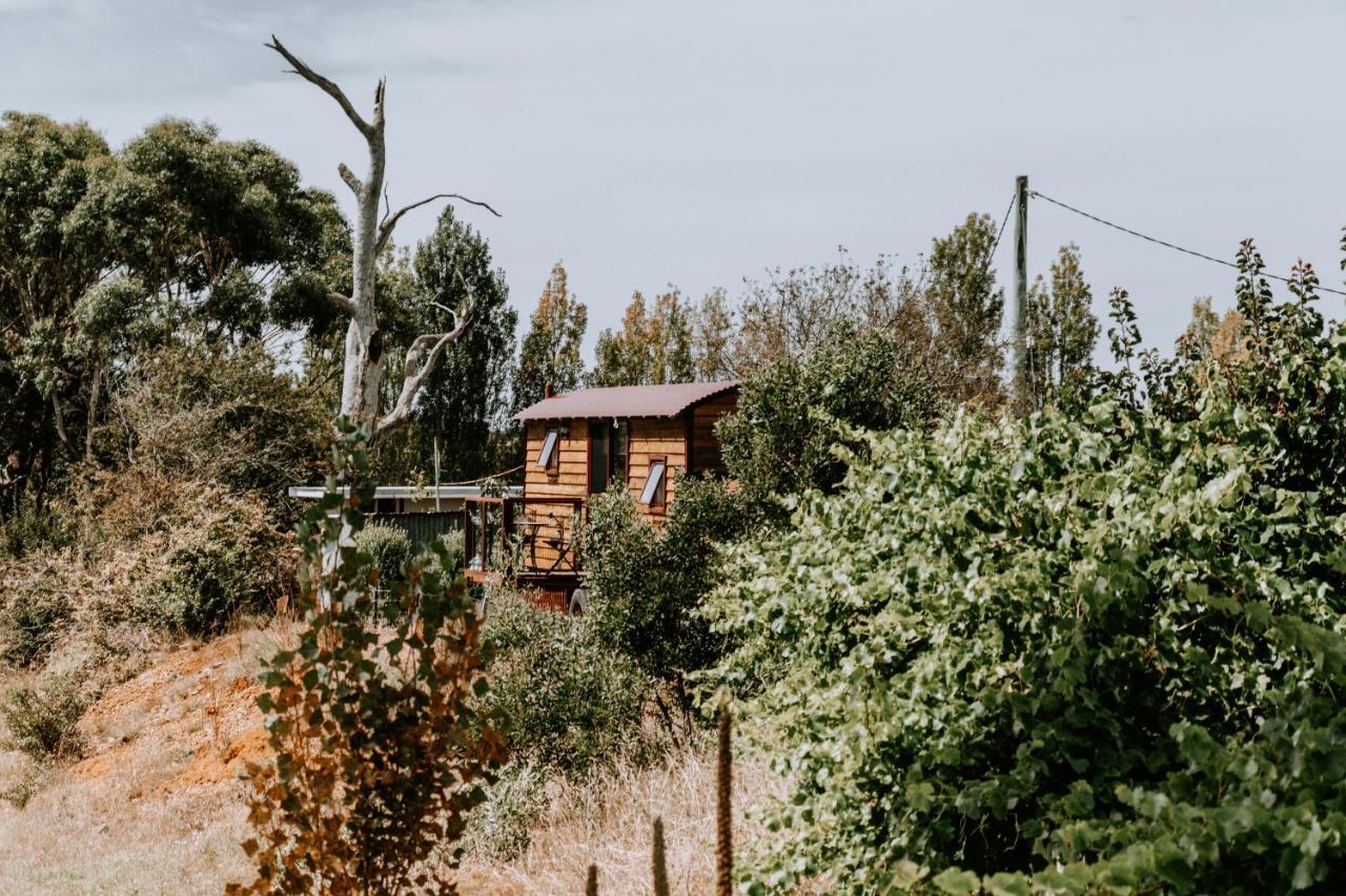 סוואנסי Belmont Homestead מראה חיצוני תמונה
