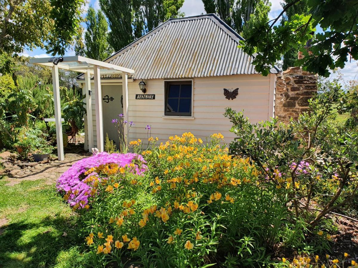 סוואנסי Belmont Homestead מראה חיצוני תמונה